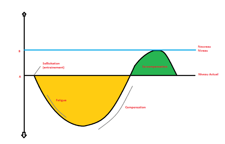 La surcompensation